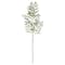 36" Olive Berry Branch by Ashland®